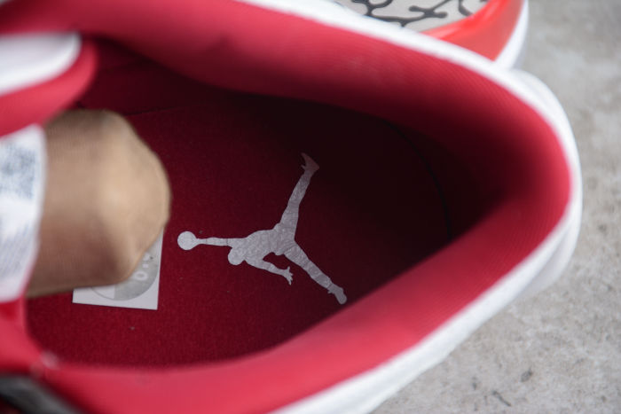 Air Jordan AJ3 Retro CT8532-126