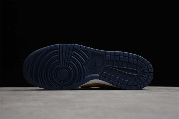 SB Dunk Low “Michigan” DD1391-700