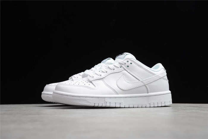 Nk SB Dunk Low Prm DD1503-109