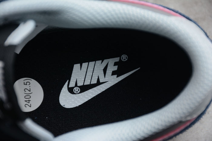 SB Dunk Low Retro vibe DH7913-001