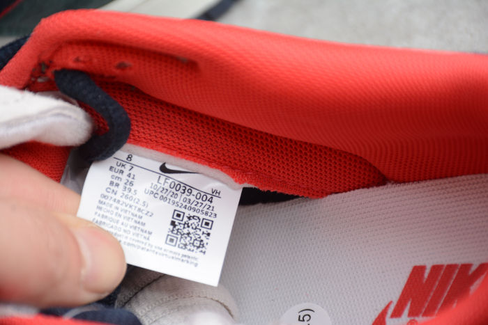 SB Dunk Low “Steamboy OST” LF0039-005