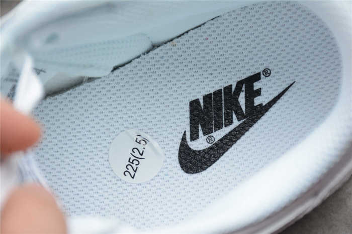 Nk SB Dunk Low Prm DD1503-109