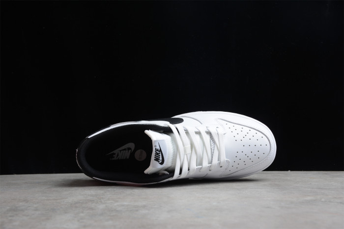 NK SB Dunk Low White Black DD1503-113