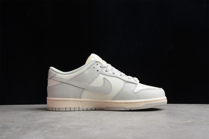 NK SB Dunk LOW “Light Bone” DD1503-107