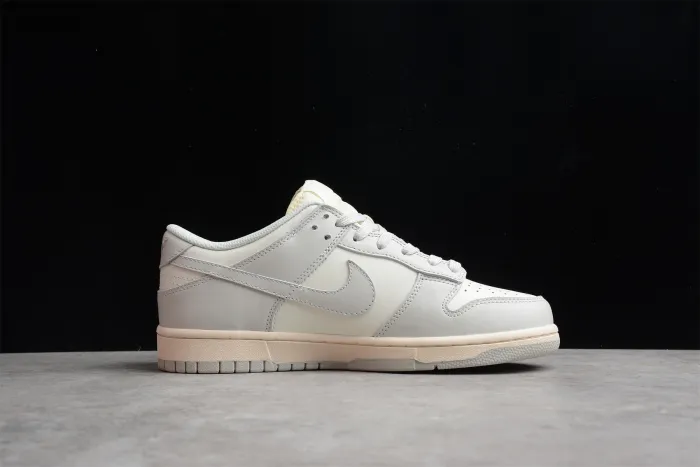 NK SB Dunk LOW “Light Bone” DD1503-107