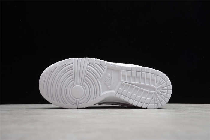 Nk SB Dunk Low Prm DD1503-109