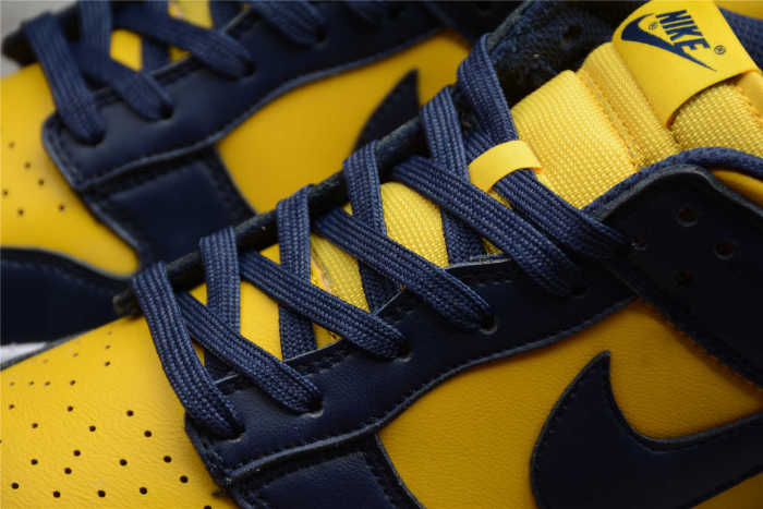 SB Dunk Low “Michigan” DD1391-700