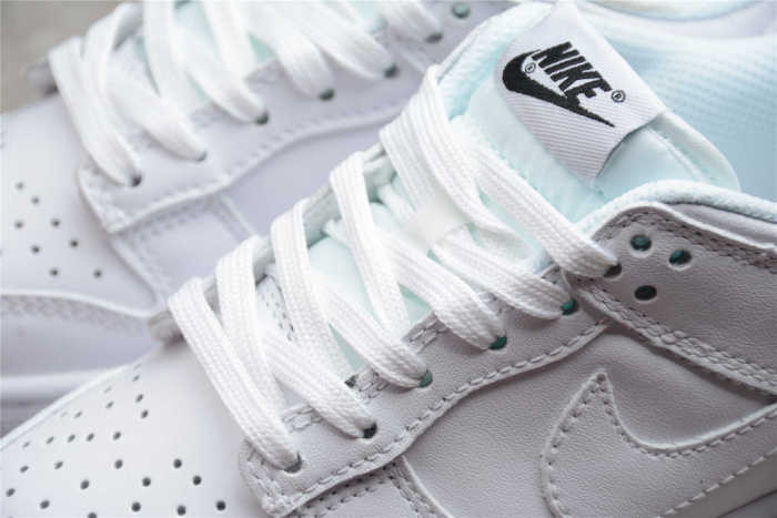 Nk SB Dunk Low Prm DD1503-109