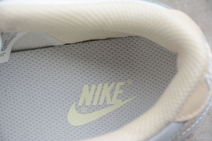 SB Dunk Low  Pearl white  DD1503-110