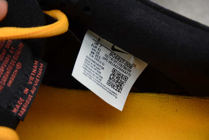 SB Dunk Low “ACG Terra” Purple Black Red BQ6817-008