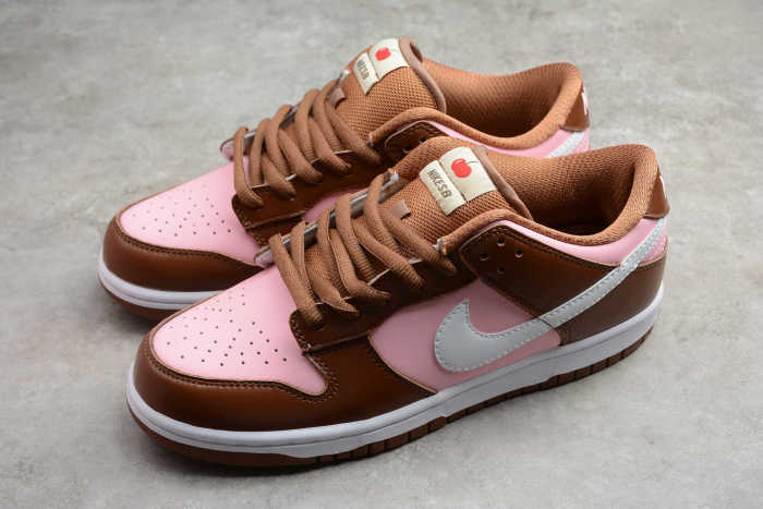 SB Dunk Pro Stussy Brown Pink 304292-671