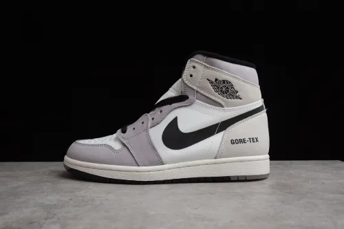 Air Jordan 1 Element  Gore-Tex  AJ1 DB2889-100