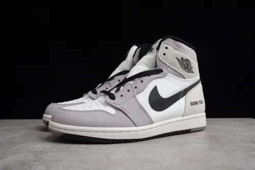 Air Jordan 1 Element  Gore-Tex  AJ1 DB2889-100