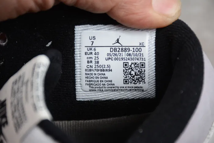 Air Jordan 1 Element  Gore-Tex  AJ1 DB2889-100