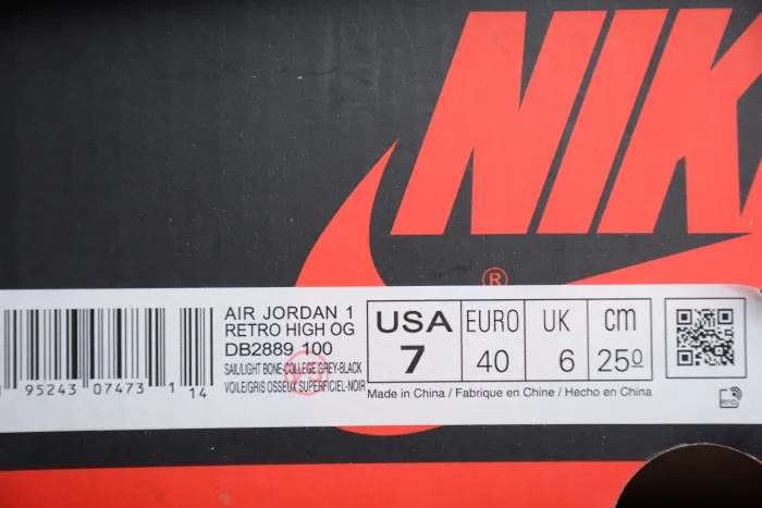 Air Jordan 1 Element  Gore-Tex  AJ1 DB2889-100