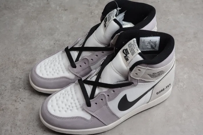 Air Jordan 1 Element  Gore-Tex  AJ1 DB2889-100