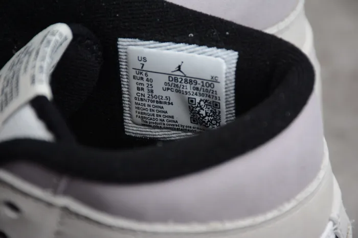 Air Jordan 1 Element  Gore-Tex  AJ1 DB2889-100