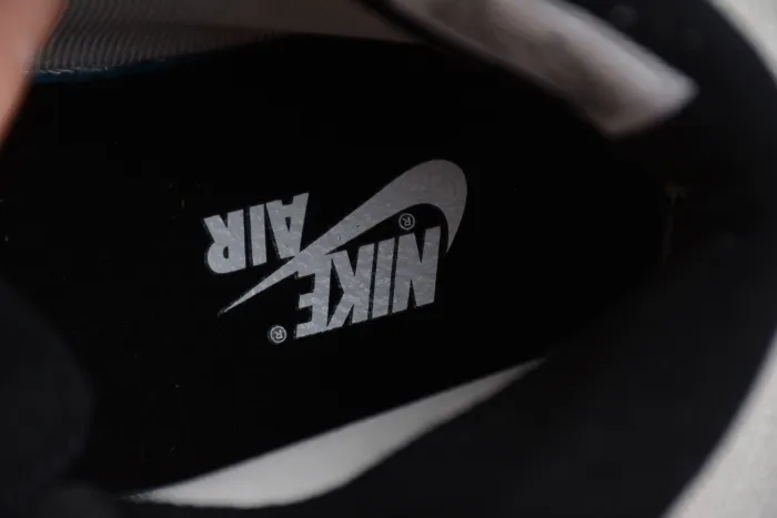Air Jordan 1 Element  Gore-Tex  AJ1 DB2889-100