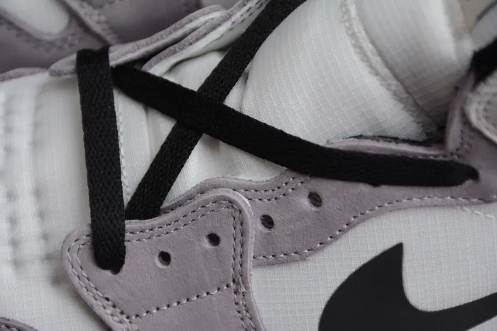 Air Jordan 1 Element  Gore-Tex  AJ1 DB2889-100