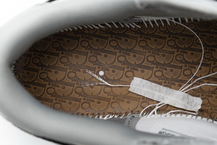 Dior x Air Jordan 1 Low Wolf Grey CN8608-002
