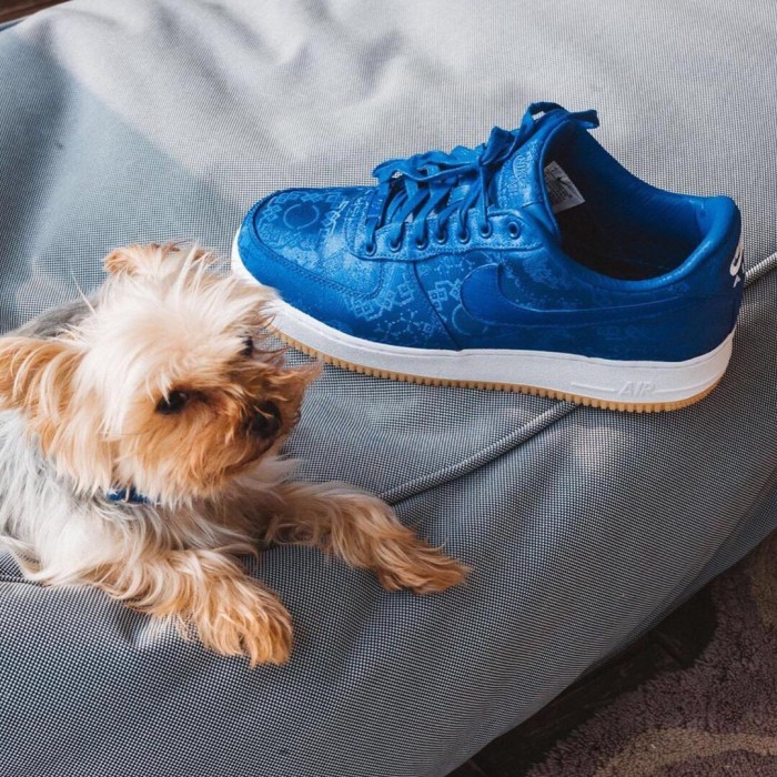 CLOT x Air Force 1 Premium  Game Royal  AO9286-400