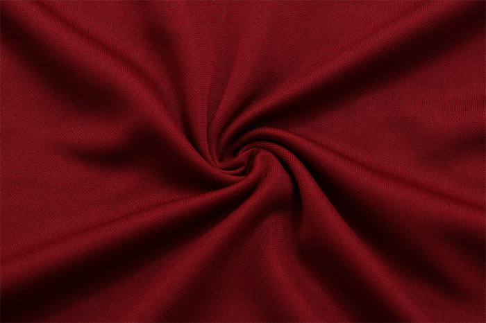 Portugal POLO Jersey 22/23