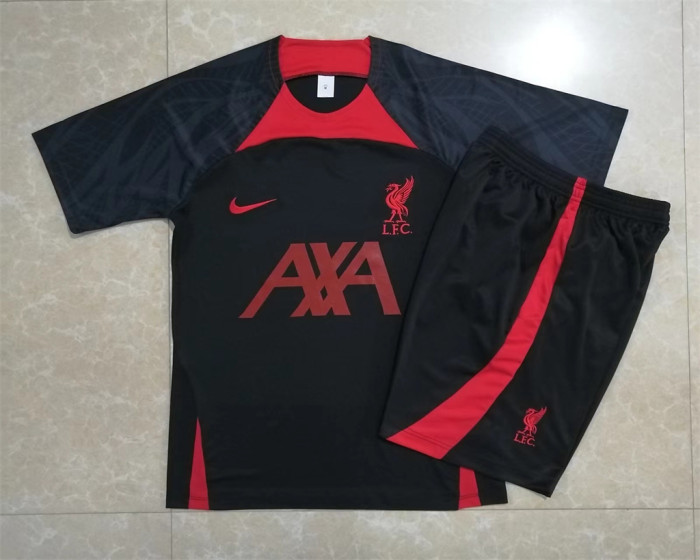 Liverpool Training Jersey 22/23