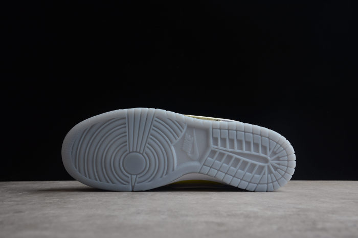 SB Dunk Low Pro Grey White Shoes