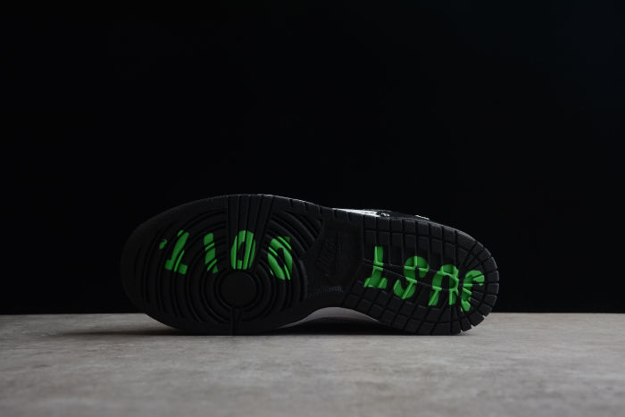 SB Dunk Low Disrupt 2 White Black DV1490-161