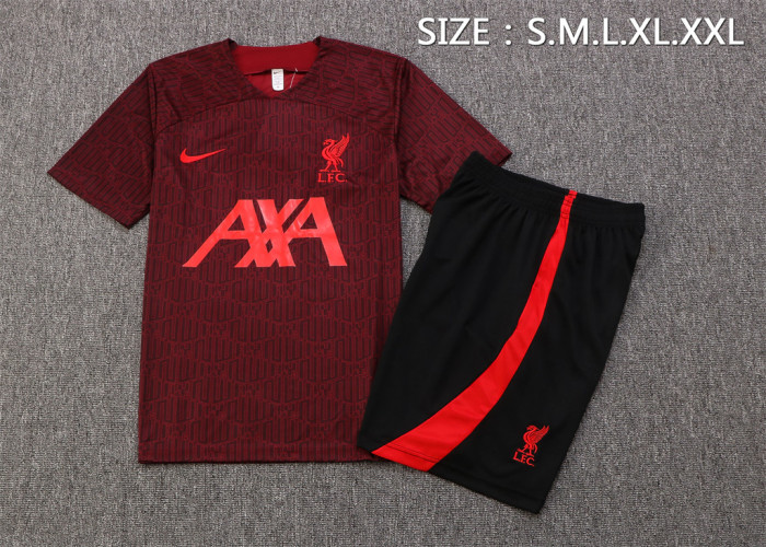 Liverpool Training Jersey 22/23