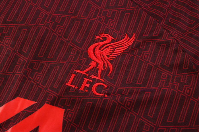 Liverpool Training Jersey 22/23