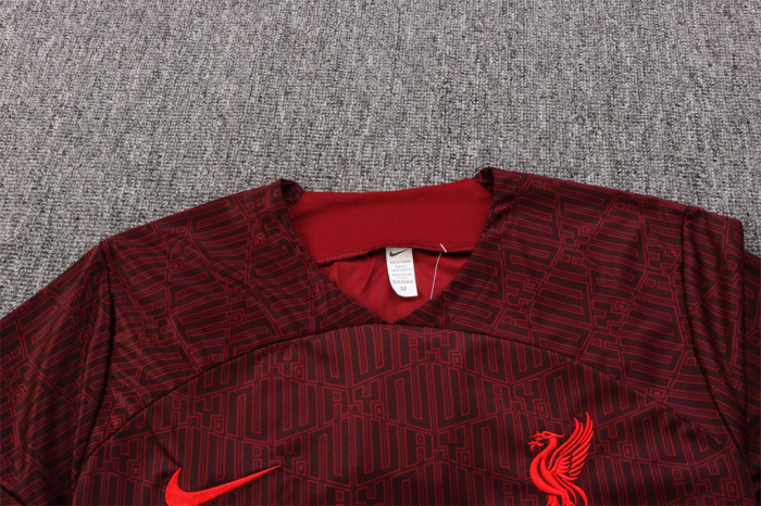 Liverpool Training Jersey 22/23