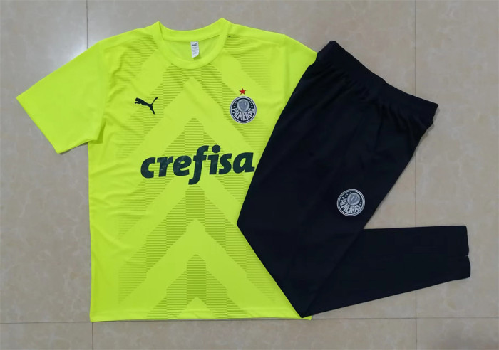 Palmeiras Training Jersey 22/23