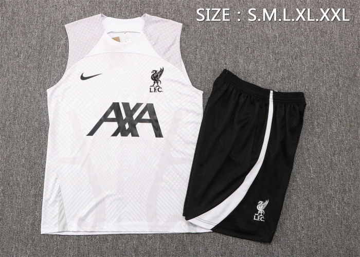 Liverpool Training Jersey 22/23