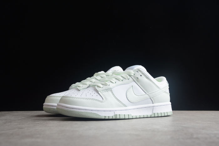 SB Dunk Low PRO DN1431-102