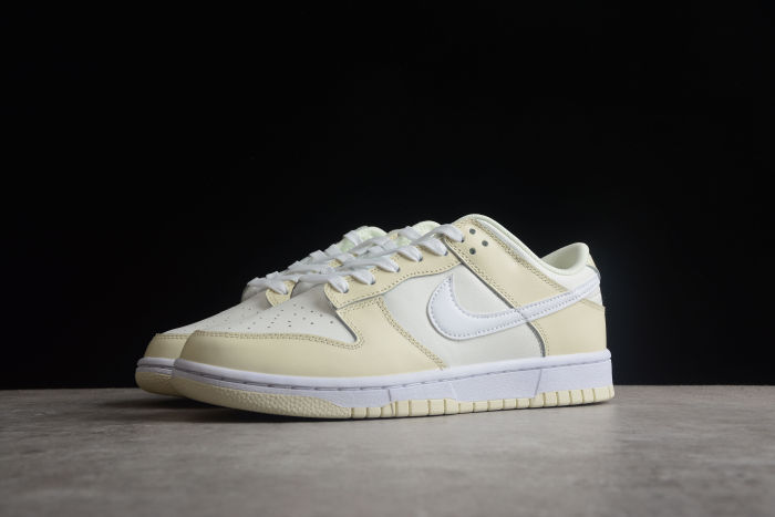 SB Dunk Low DJ6188-100