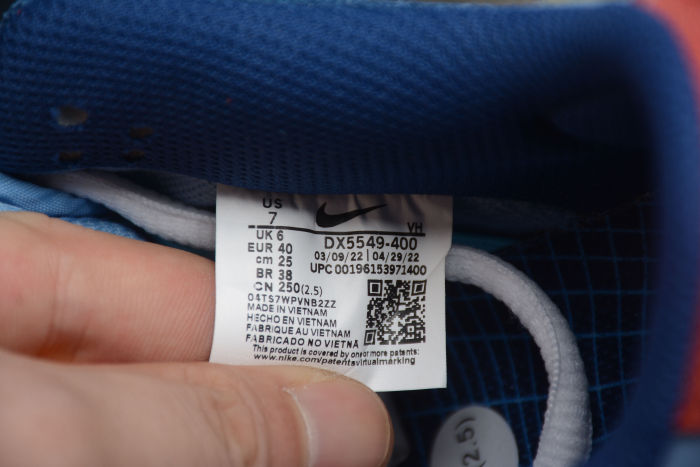 SB Dunk Low “Skateboard” DX5549-400