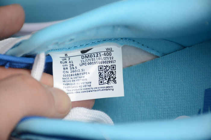 SB Dunk Low Retro QP Argon Blue DM0121-400