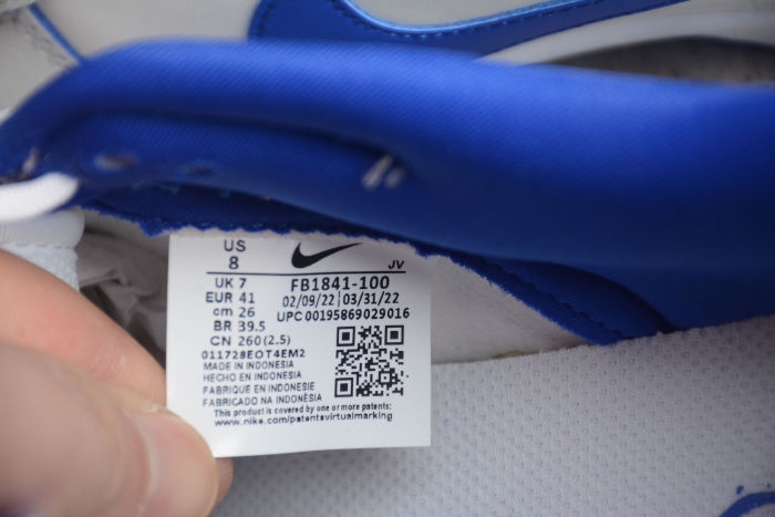 SB Dunk Low GS Ivory Hyper White Blue Royal FB1841-110