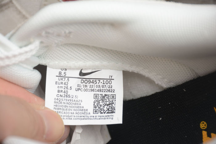 SB Dunk Low  DO9457-100