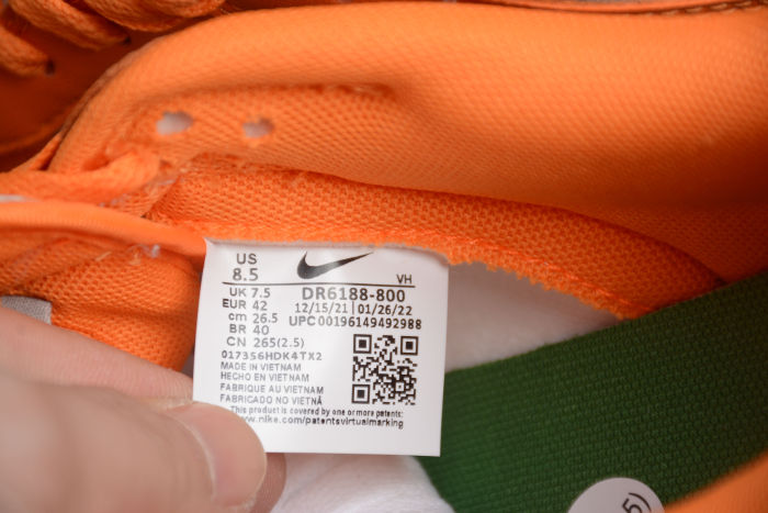 SB Dunk Low Famu Jurassic Dinosaur DR6188-800