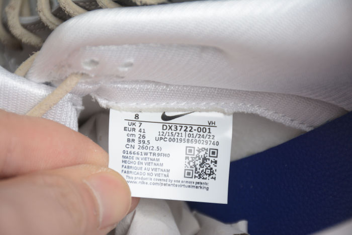 SB Dunk Low DX3722-001