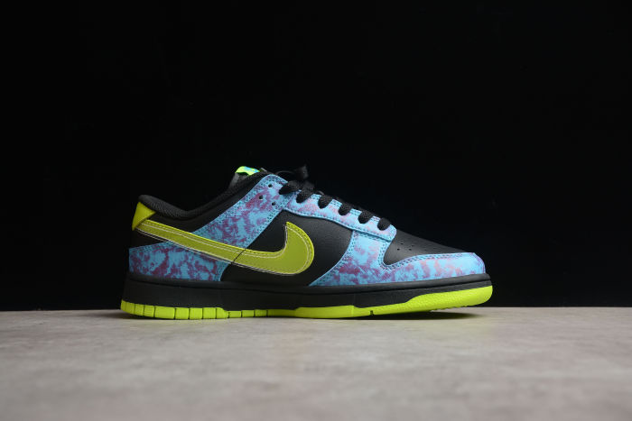 SB Dunk Low RETRO DV1694-900