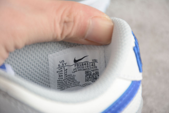 SB Dunk Low Sea Salt Blue FB1843-141