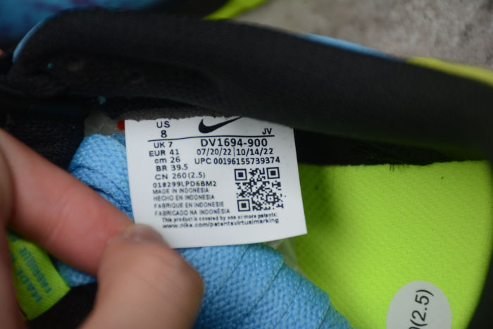 SB Dunk Low RETRO DV1694-900