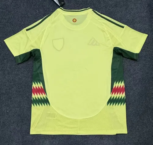Wales Euro 2024 Away Man Jersey