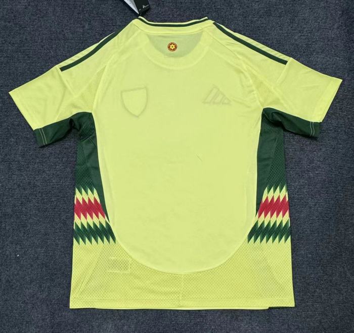 Wales Euro 2024 Away Man Jersey