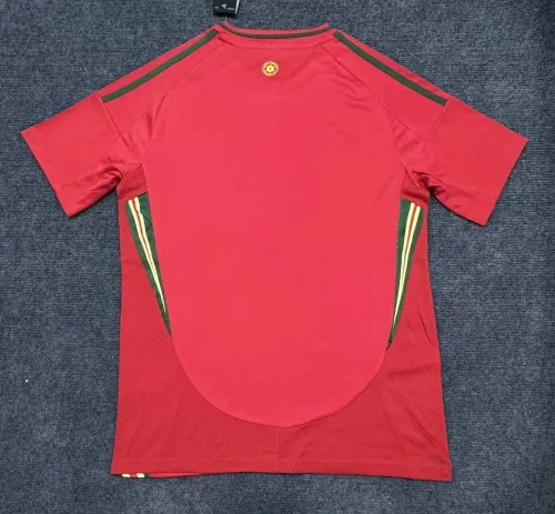 Wales Euro 2024 Home Man Jersey
