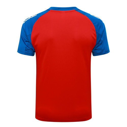 Spain Training Short sleeve Jersey 24/25