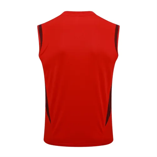 Internacional Training Jersey 24/25